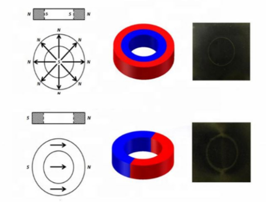 径向磁环磁化示意图