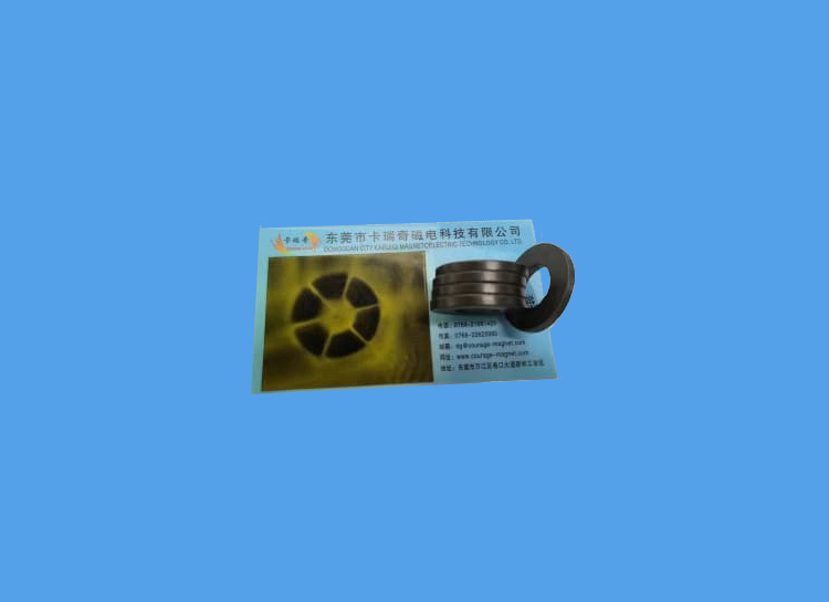 电热水泵用轴向6极铁氧体磁环26.5x12.5x3mm